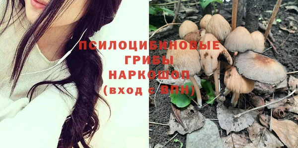бутират Пестово