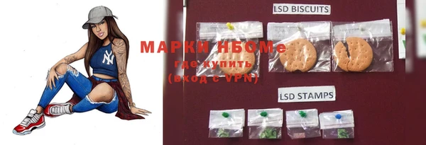 дживик Переславль-Залесский