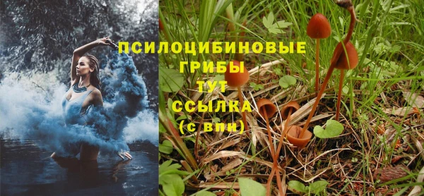 дживик Переславль-Залесский