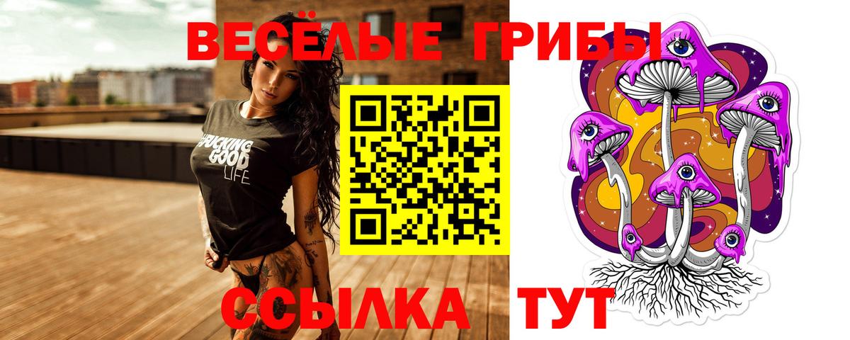 продажа наркотиков  Татарск  Псилоцибиновые грибы мицелий 